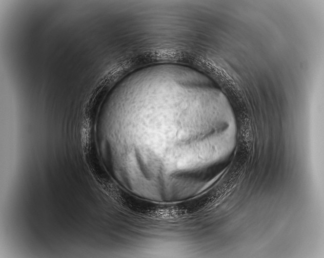 X0000095920744200801251029