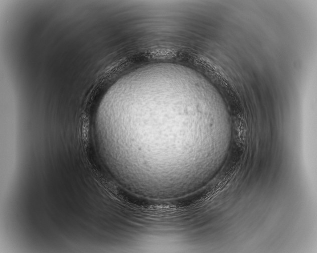 X0000095920745200801251029