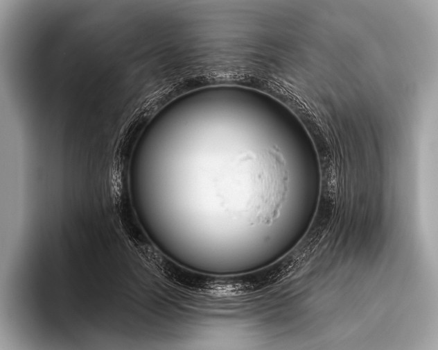 X0000095920746200801251029