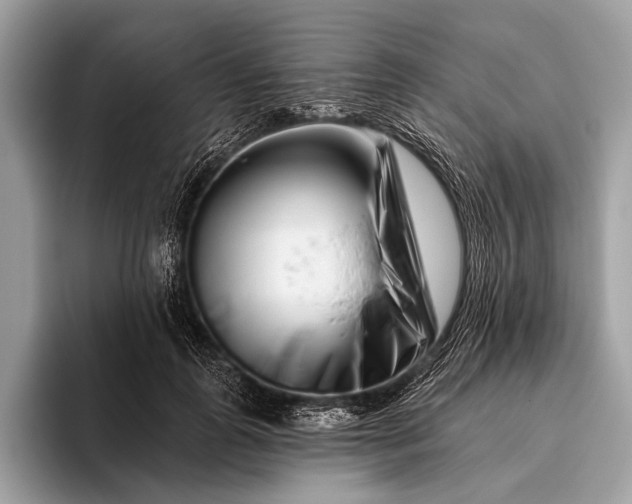 X0000095920747200801251029