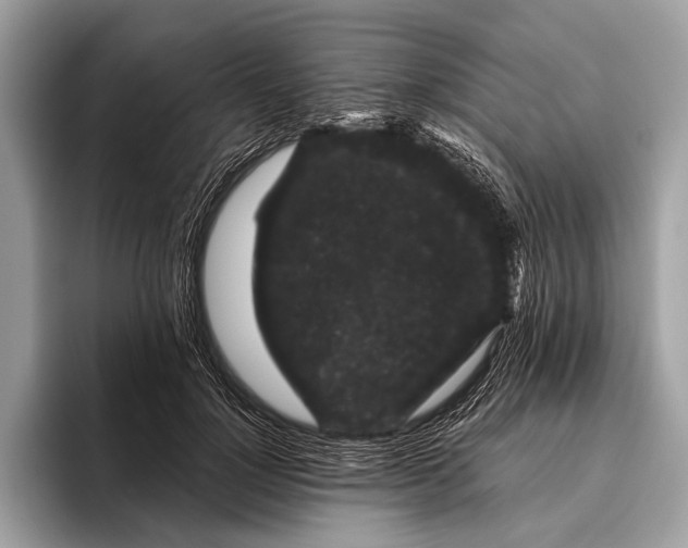 X0000095920748200801251029