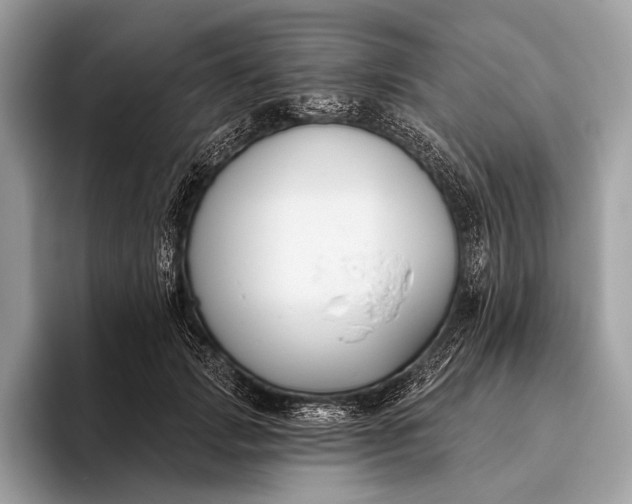 X0000095920749200801251029