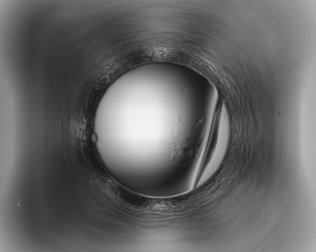 X0000095920750200801251029