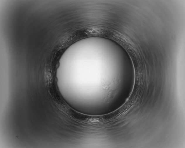 X0000095920751200801251029