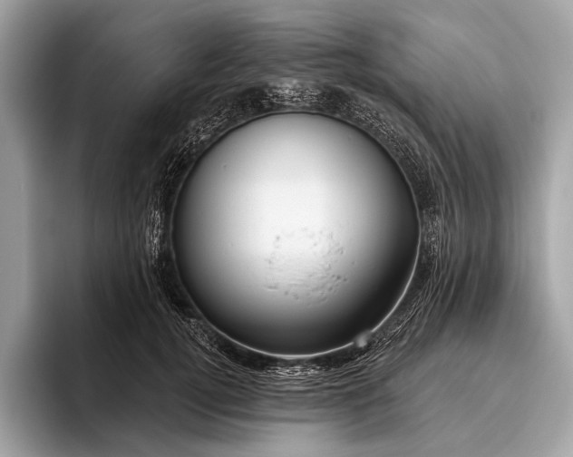 X0000095920752200801251029