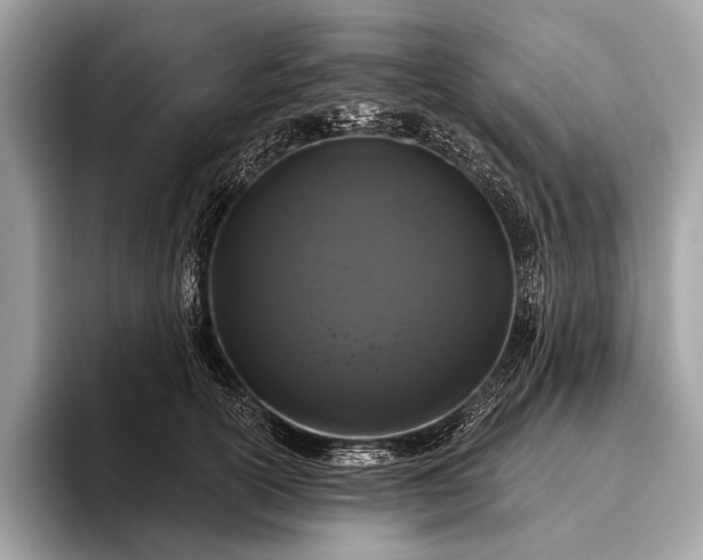 X0000095920754200801251029