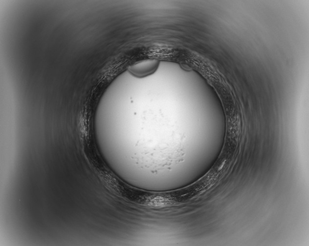 X0000095920755200801251029