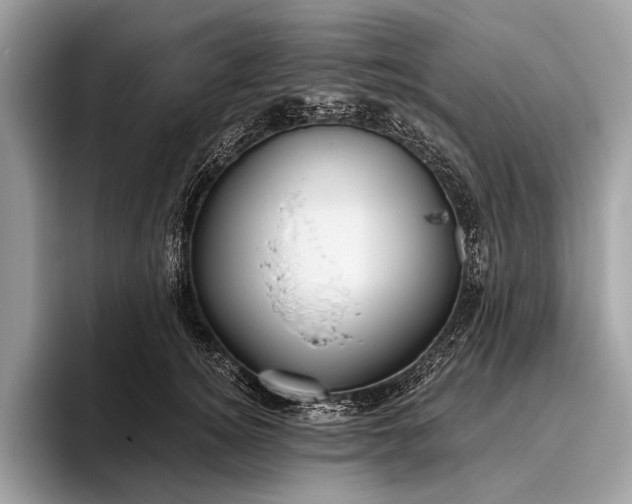 X0000095920756200801251029