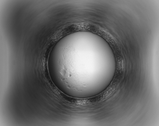 X0000095920757200801251029