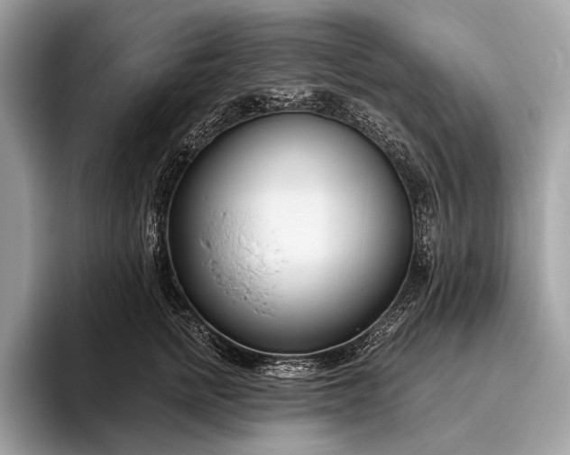 X0000095920758200801251030