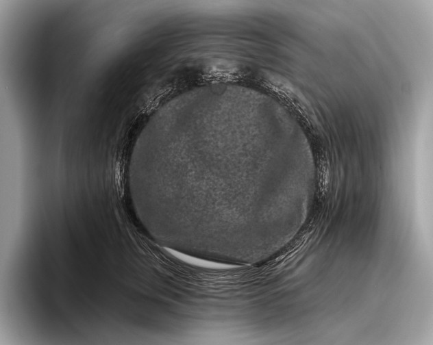 X0000095920759200801251030