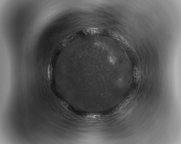 X0000095920760200801251030