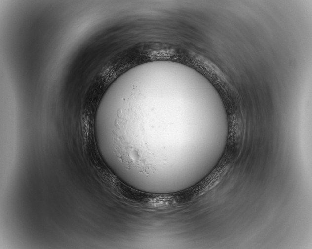 X0000095920761200801251030