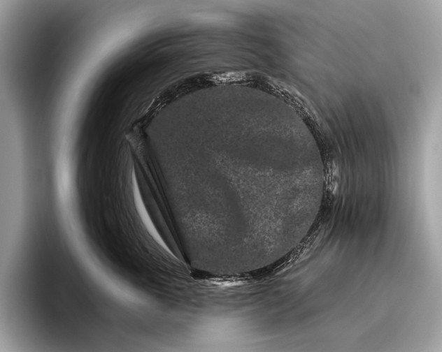 X0000095920763200801251030