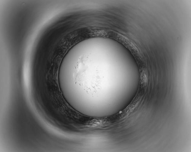 X0000095920764200801251030