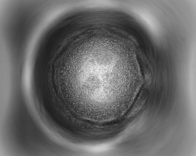 X0000095920765200801251030