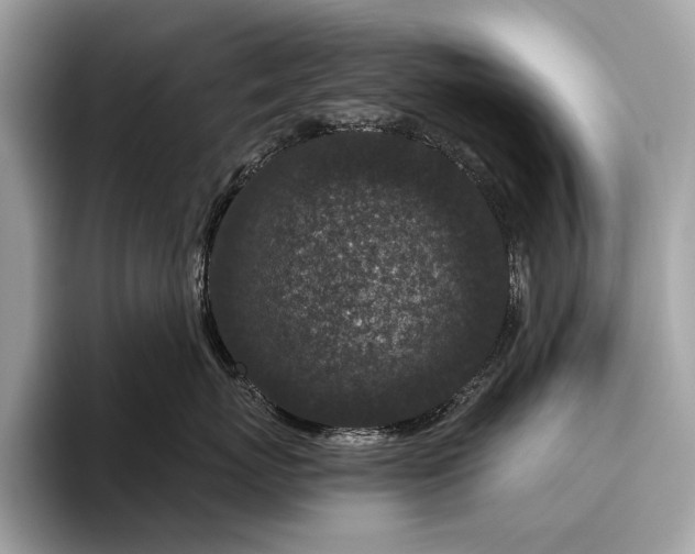 X0000095920767200801251030