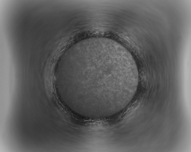 X0000095920769200801251029