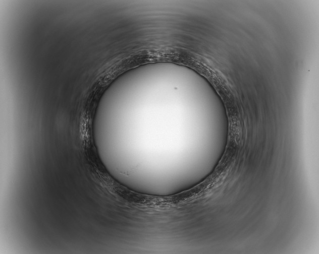 X0000095920770200801251029