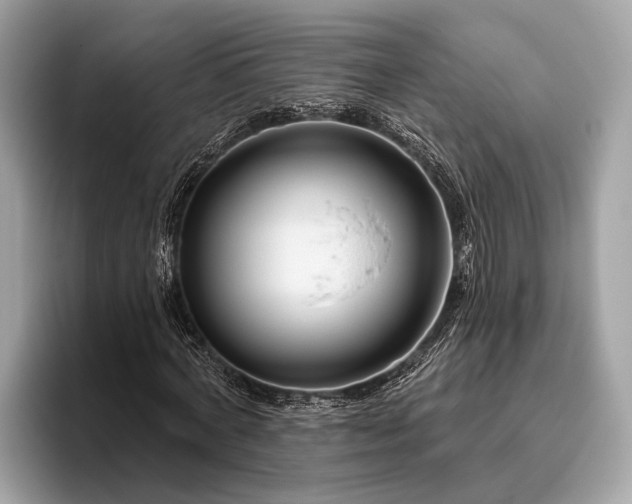 X0000095920772200801251029