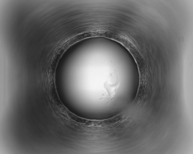 X0000095920773200801251029