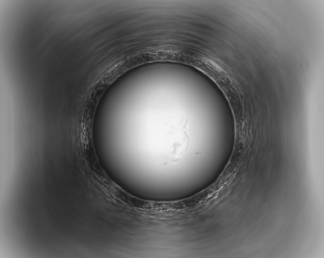 X0000095920774200801251029