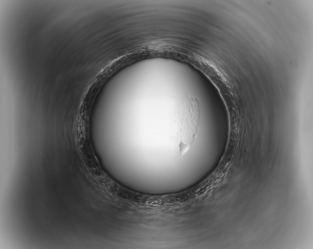 X0000095920776200801251029