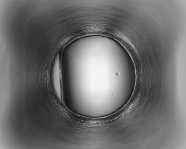 X0000095920777200801251029