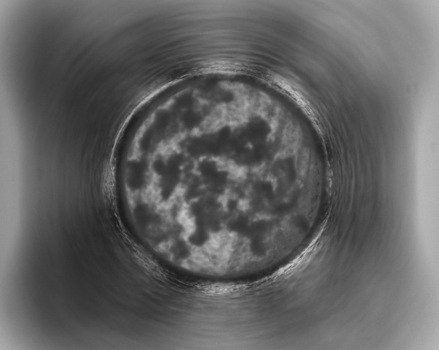 X0000095920779200801251029