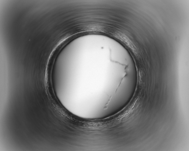 X0000095920780200801251029