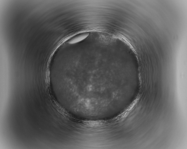 X0000095920781200801251029