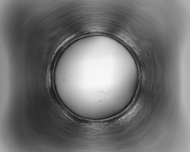 X0000095920782200801251029