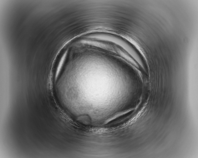 X0000095920783200801251029