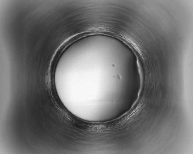 X0000095920784200801251029