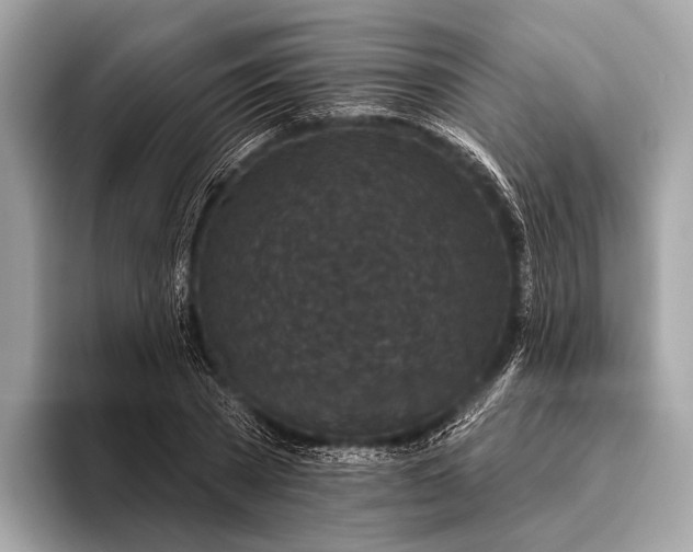 X0000095920785200801251029