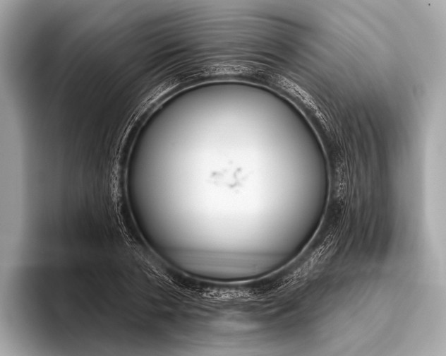 X0000095920786200801251029