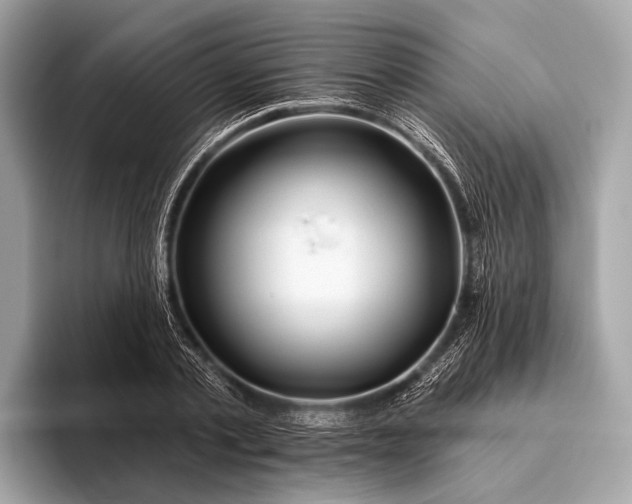 X0000095920789200801251029