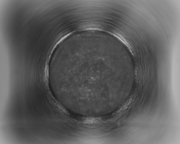 X0000095920790200801251029