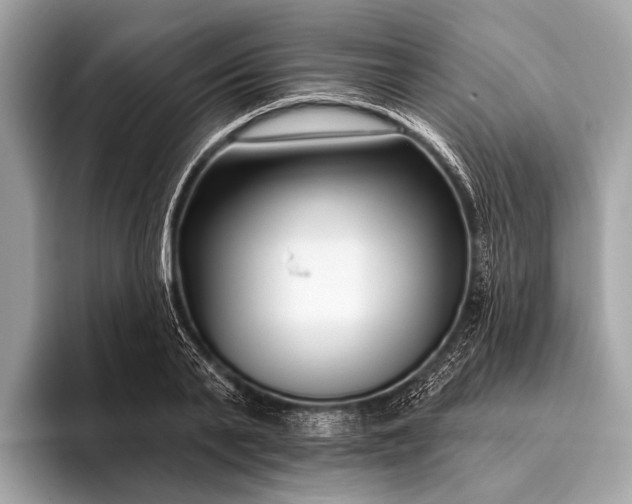 X0000095920791200801251029