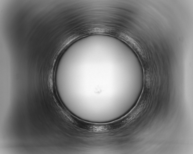 X0000095920794200801251029