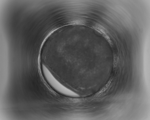 X0000095920796200801251029