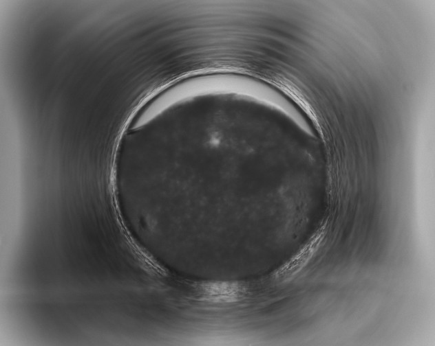 X0000095920797200801251029