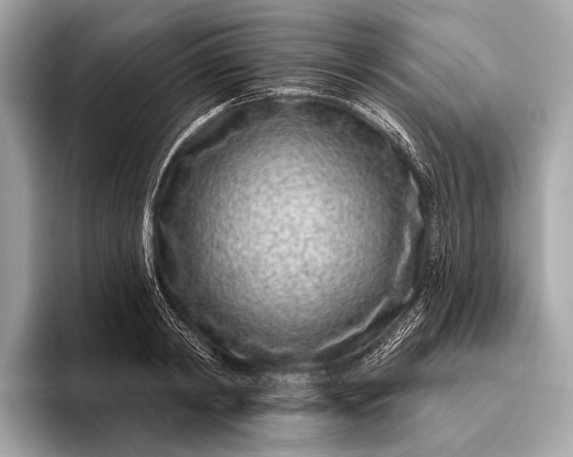 X0000095920798200801251029