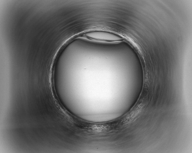 X0000095920799200801251029