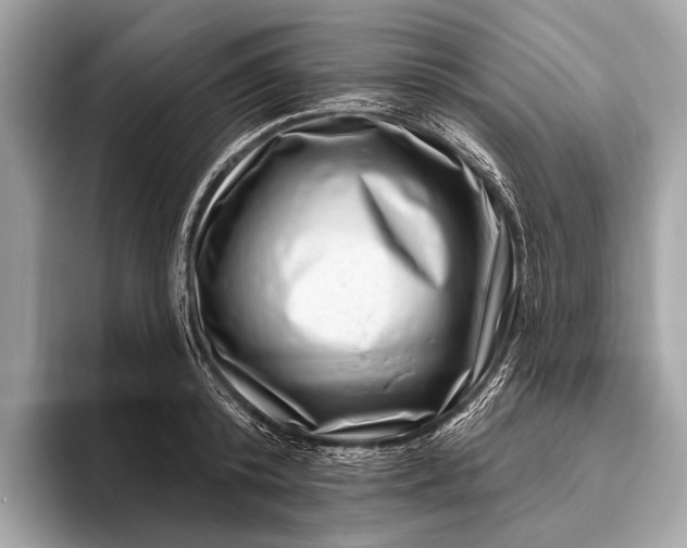 X0000095920800200801251029