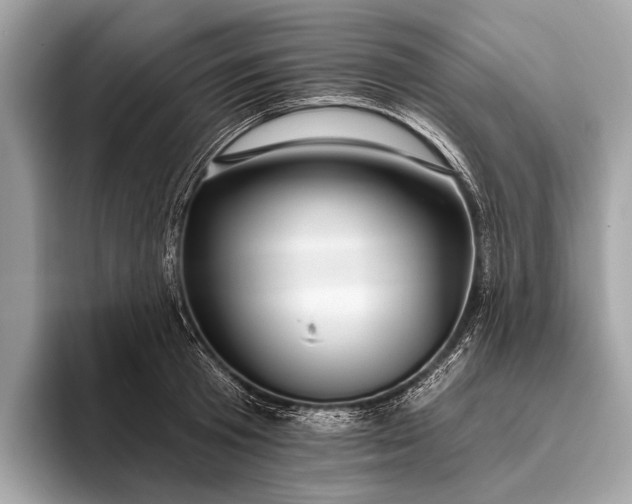 X0000095920801200801251029