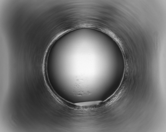 X0000095920803200801251029