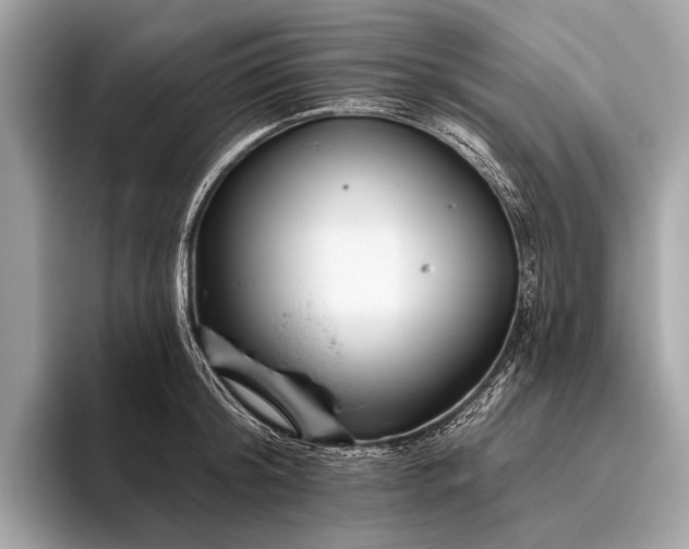 X0000095920804200801251029