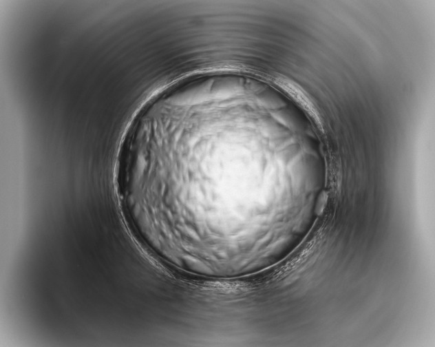 X0000095920805200801251029