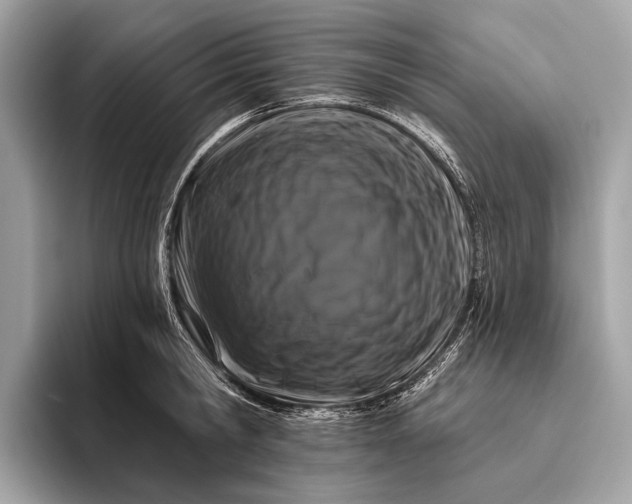 X0000095920806200801251029